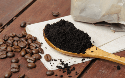 Revolutionary Japanese Patent: Fermented Coffee Grounds Inhibit Respiratory Pathogens and Promote Earth’s Health